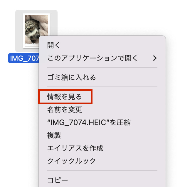 iPhone・Windows・Mac で写真サイズ（ファイルサイズ）を確認する方法